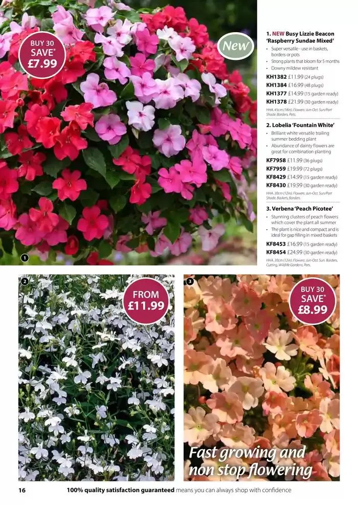 The Spring Catalogue from 20 March to 31 May 2025 - Catalogue Page 16