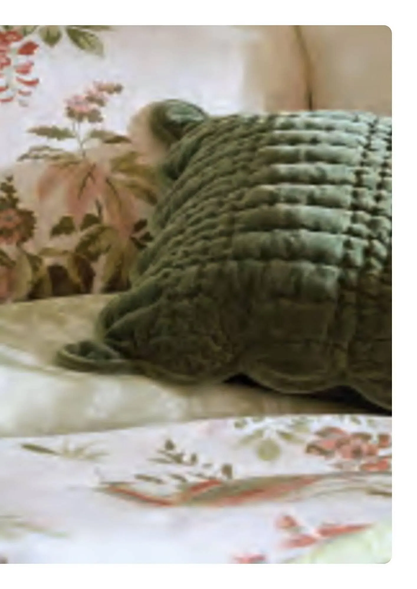 Laura Ashley catalogue from 30 September to 31 December 2025 - Catalogue Page 7