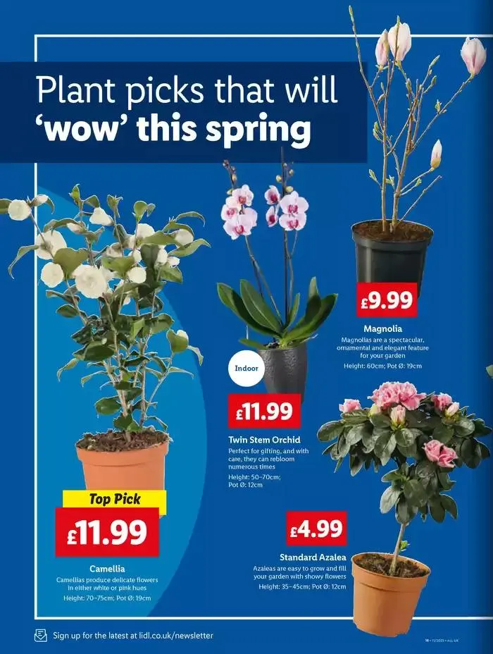 Great offer for all customers from 13 March to 19 March 2025 - Catalogue Page 20