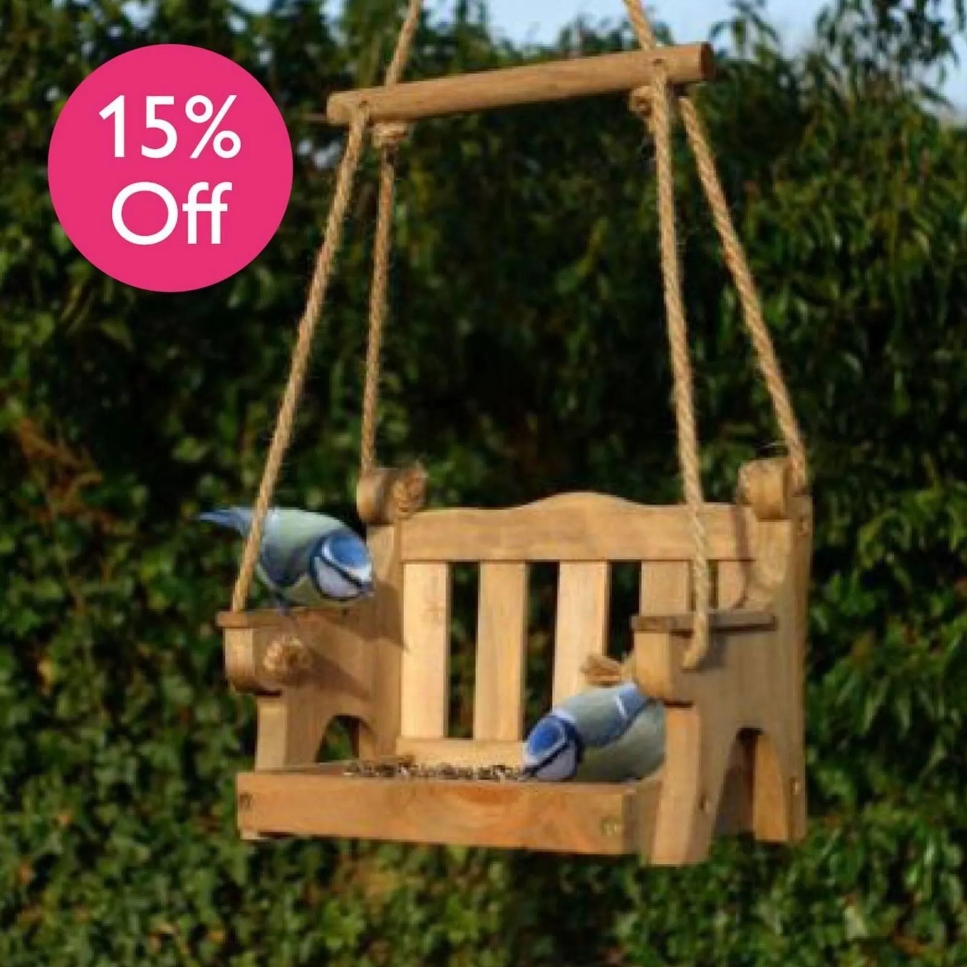 Squires Garden Centres leaflet from 12 January to 24 January 2026 - Catalogue Page 5