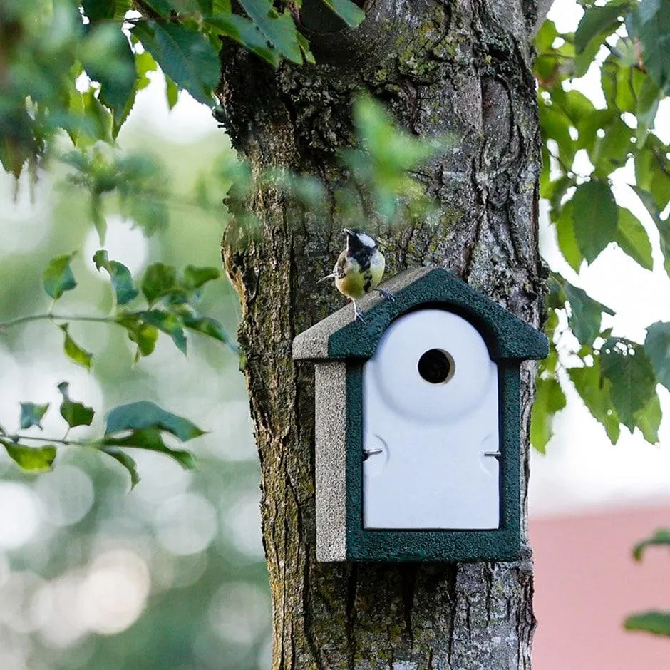 WoodStone 32mm nest box - green