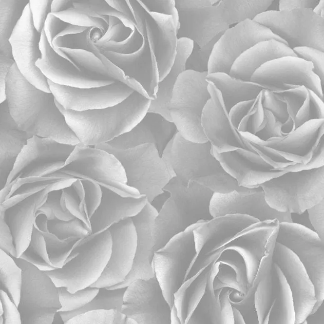 Big Rose Wallpaper in Grey