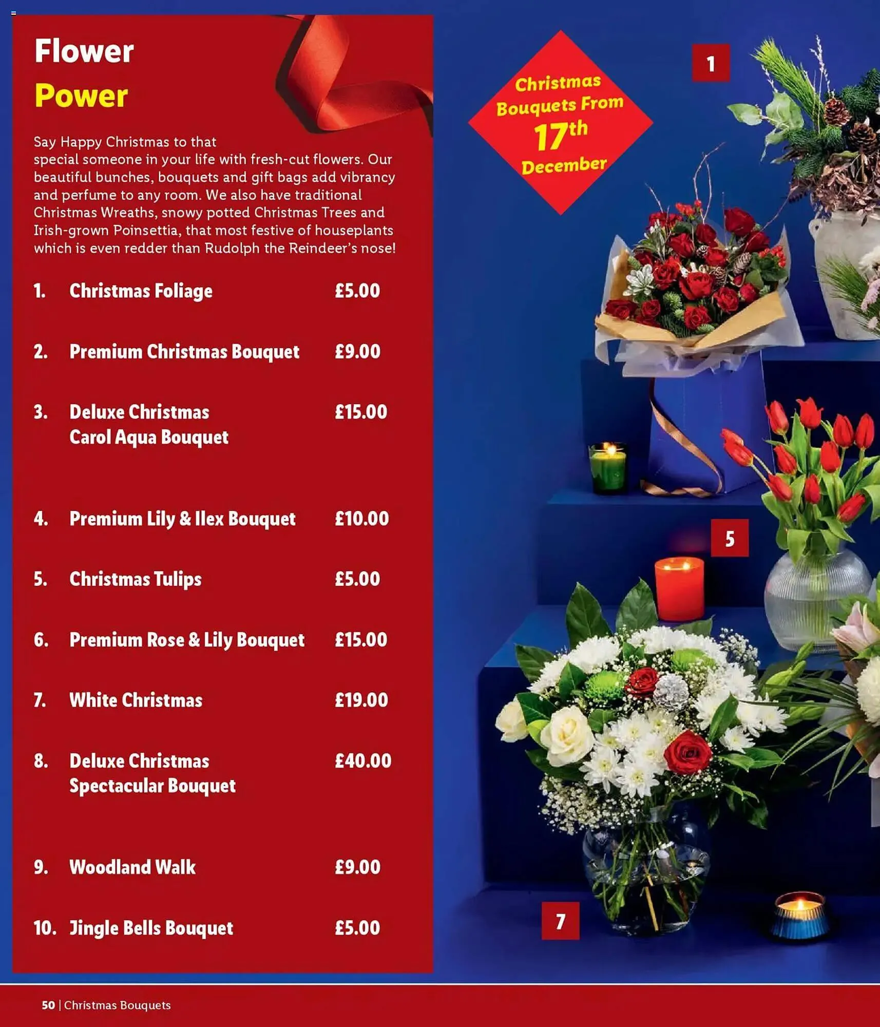 Lidl leaflet from 6 November to 31 December 2025 - Catalogue Page 50