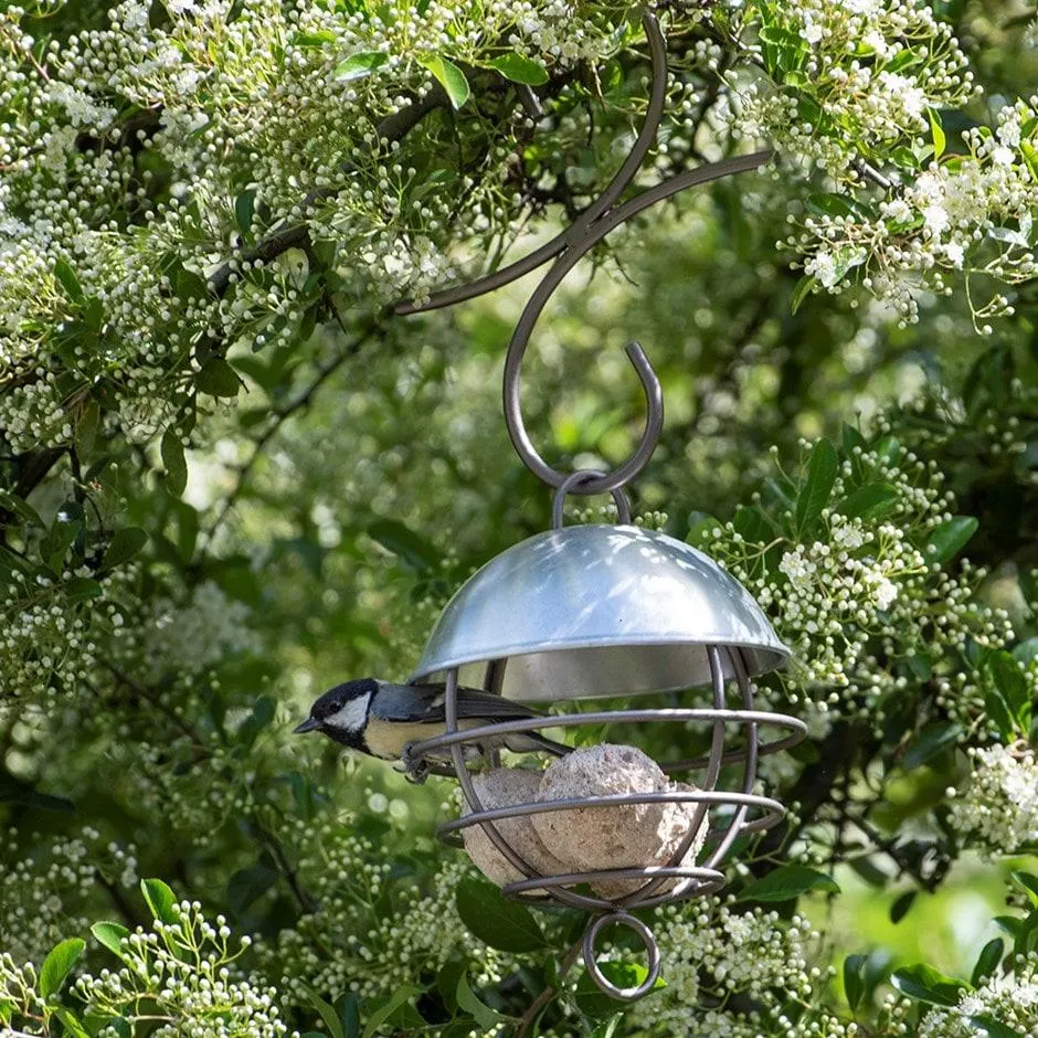 Brushed aluminium satellite fat ball feeder