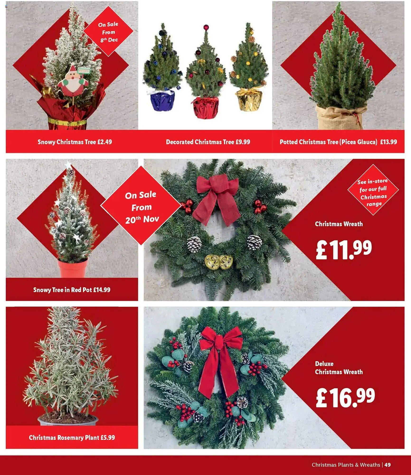 Lidl leaflet from 6 November to 31 December 2025 - Catalogue Page 49