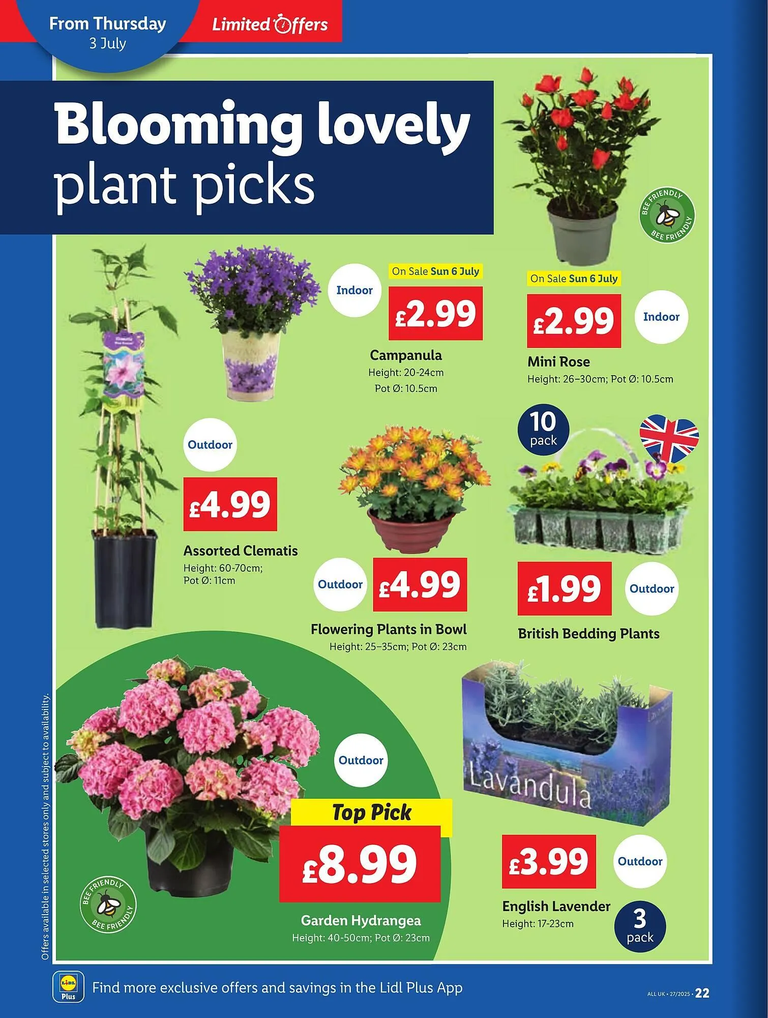 Lidl leaflet from 3 July to 9 July 2025 - Catalogue Page 22
