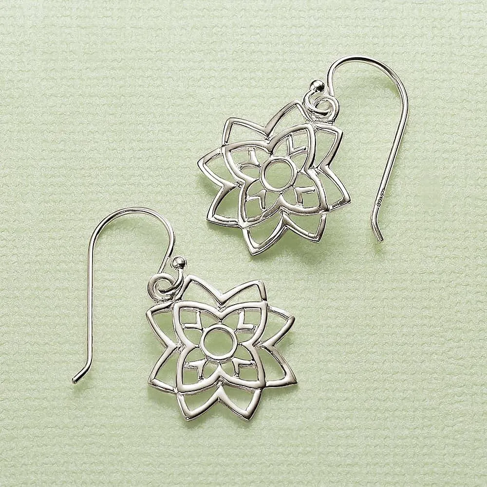 Window to the Soul Silver Earrings