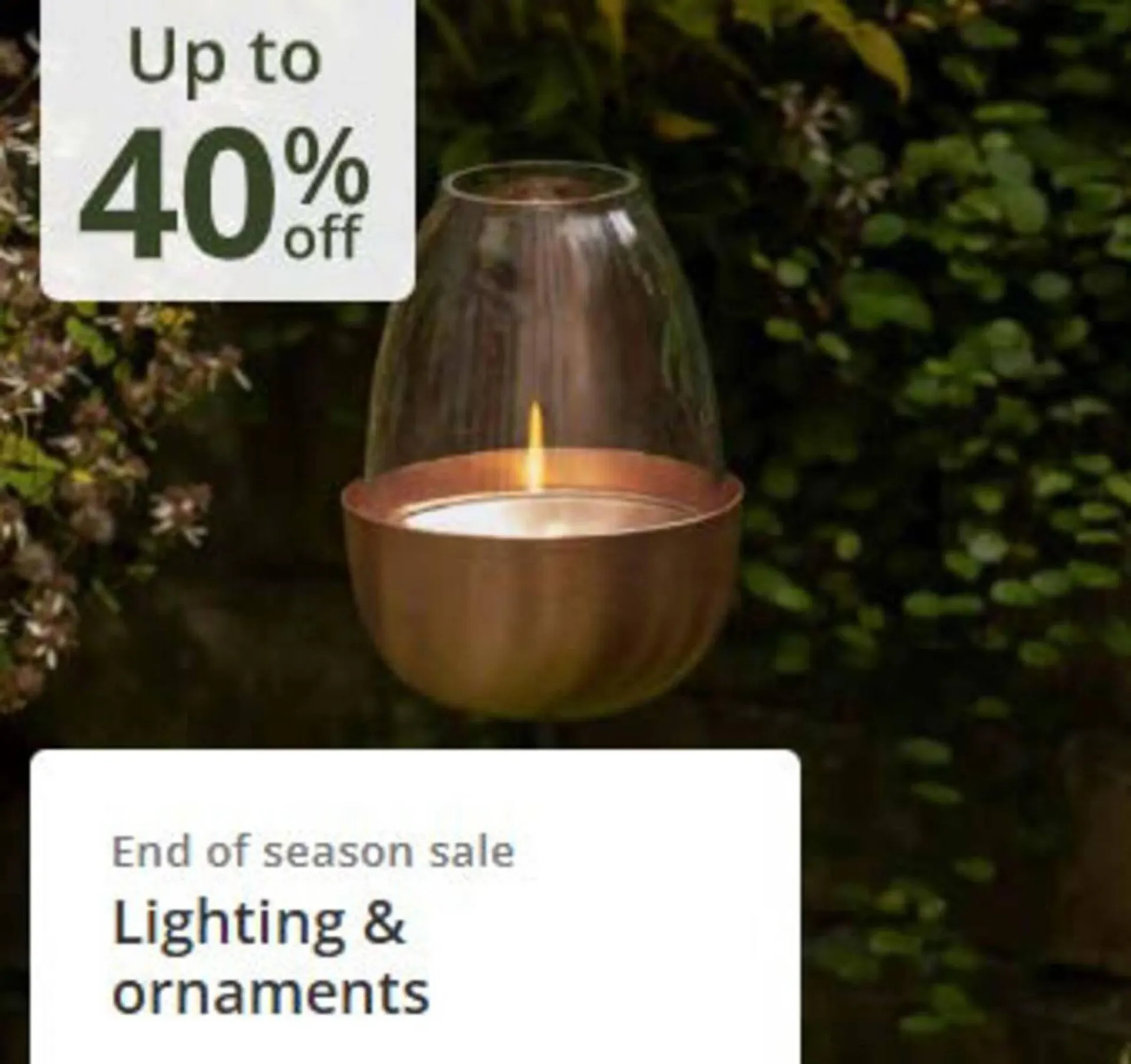 Crocus leaflet from 21 October to 8 November 2025 - Catalogue Page 7