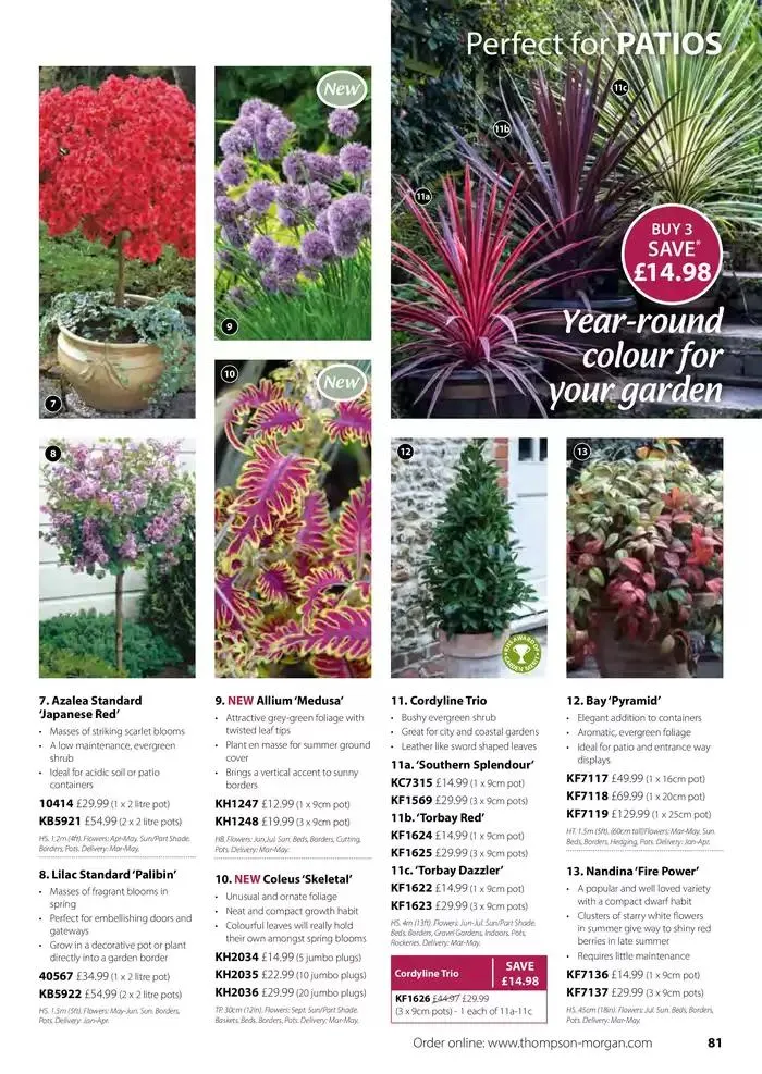 The Spring Catalogue from 20 March to 31 May 2025 - Catalogue Page 81