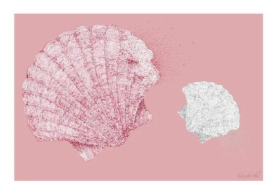 Look Shells - Scallop Shell Illustration (2017)