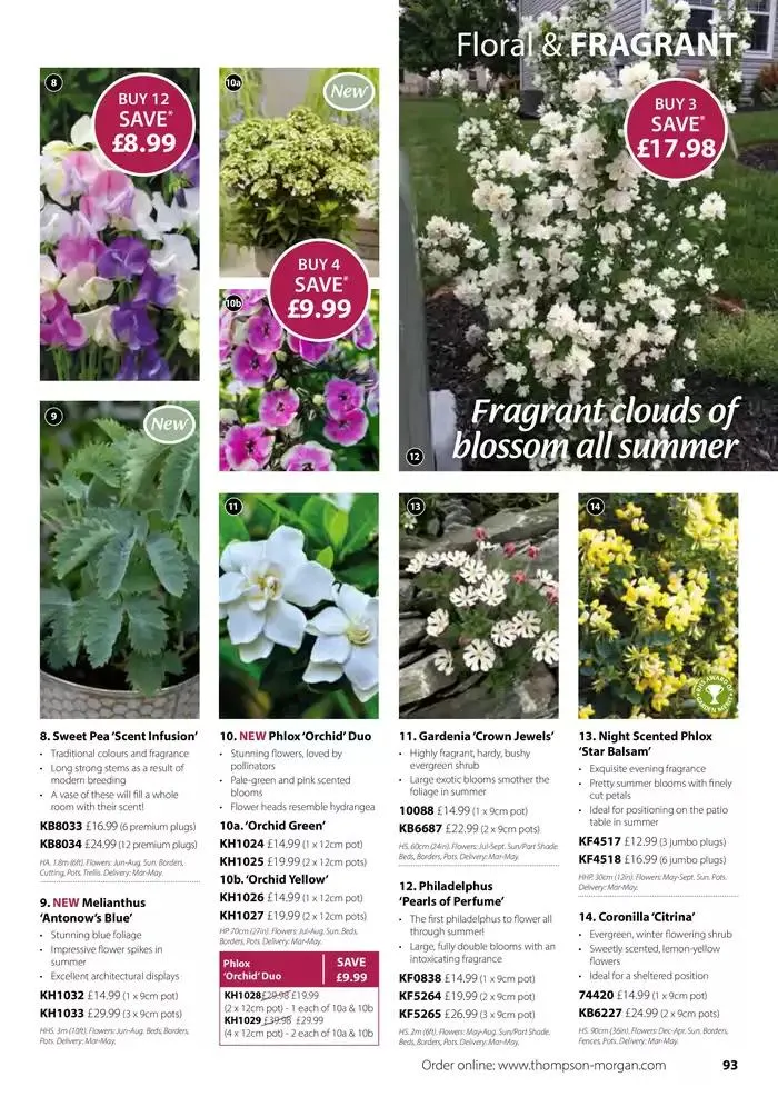 The Spring Catalogue from 20 March to 31 May 2025 - Catalogue Page 93