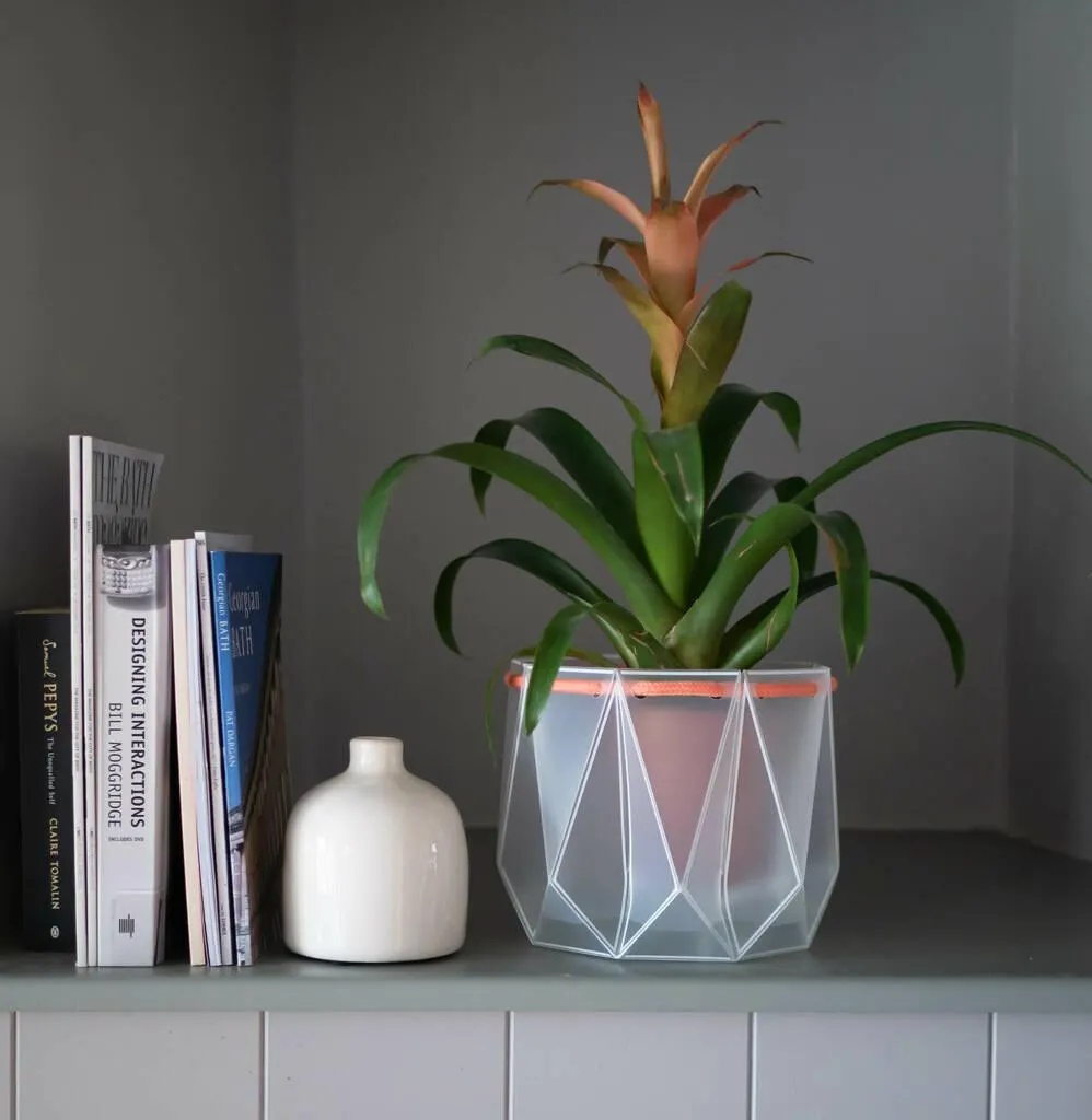 Origami Self Watering Eco Plant Pot: 18cm | Coral Cord