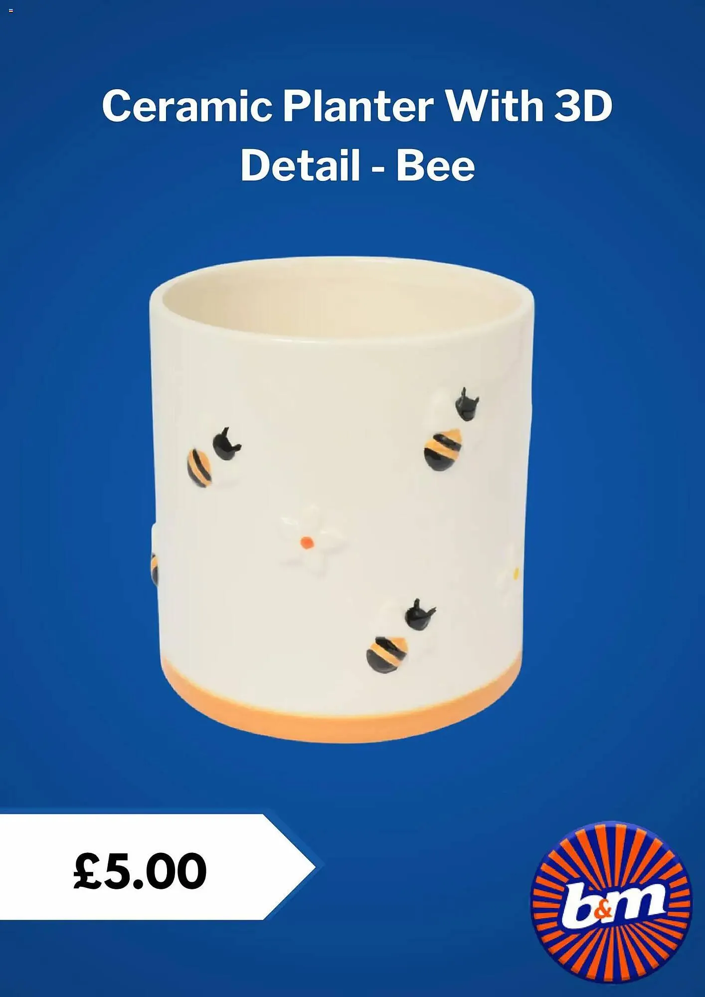 B&M Stores leaflet from 25 February to 25 March 2026 - Catalogue Page 2