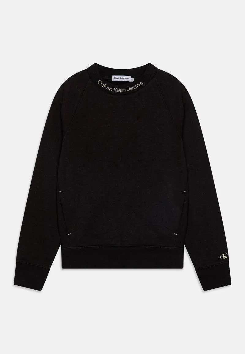 INTARSIA CREWNECK - Sweatshirt