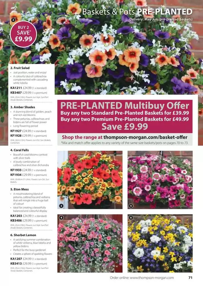 The Spring Catalogue from 20 March to 31 May 2025 - Catalogue Page 71