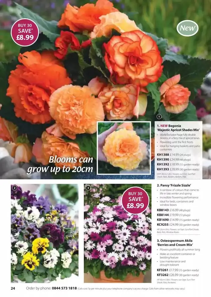 The Spring Catalogue from 20 March to 31 May 2025 - Catalogue Page 24