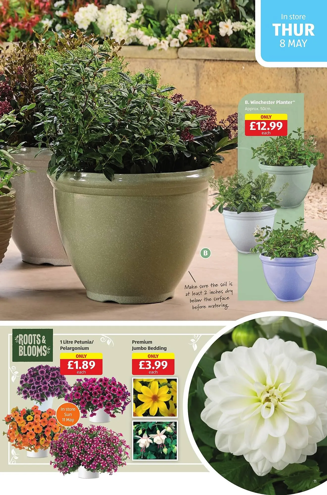 Aldi leaflet from 8 May to 11 May 2025 - Catalogue Page 11