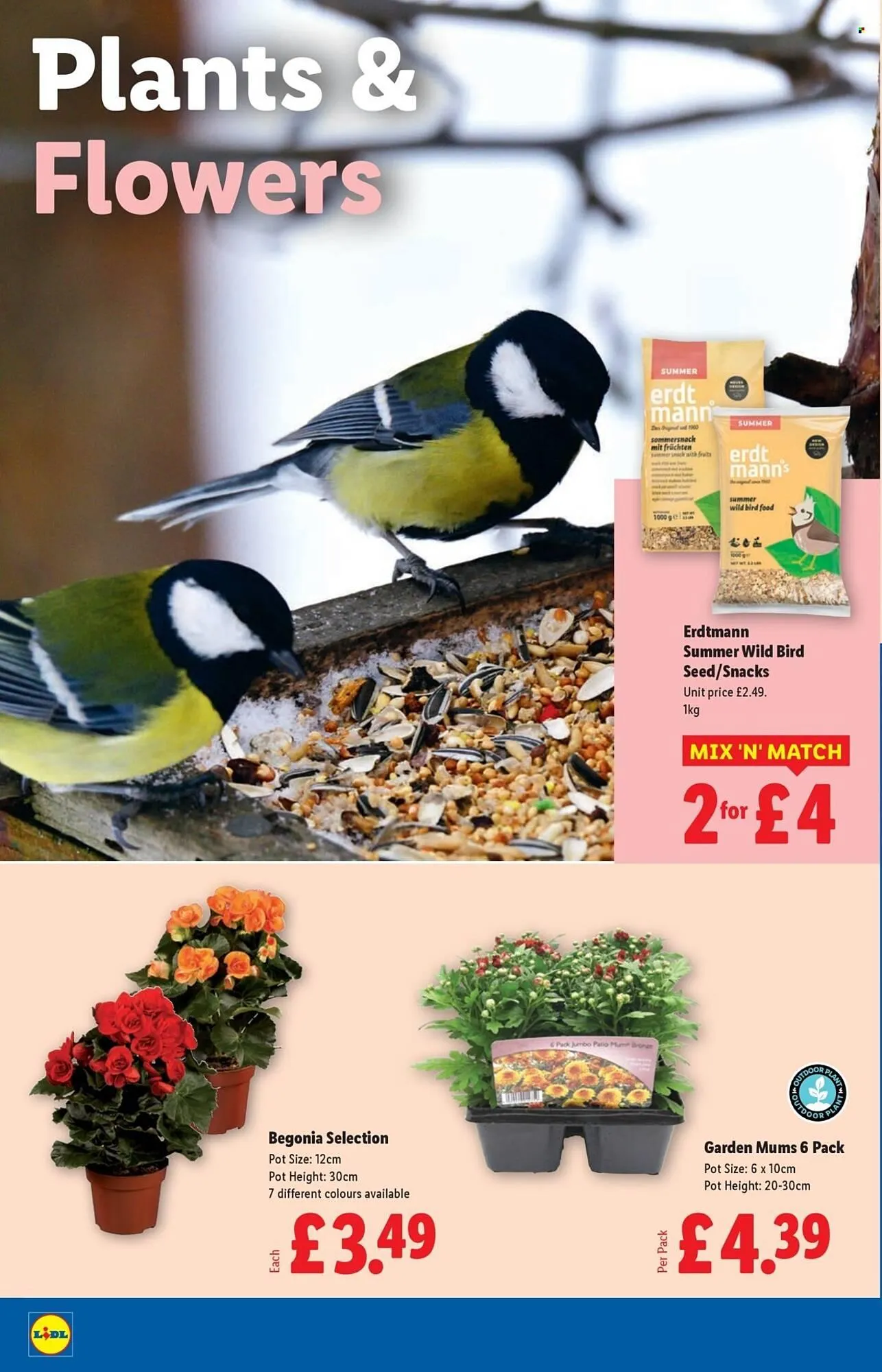 Lidl leaflet from 31 July to 6 August 2025 - Catalogue Page 22
