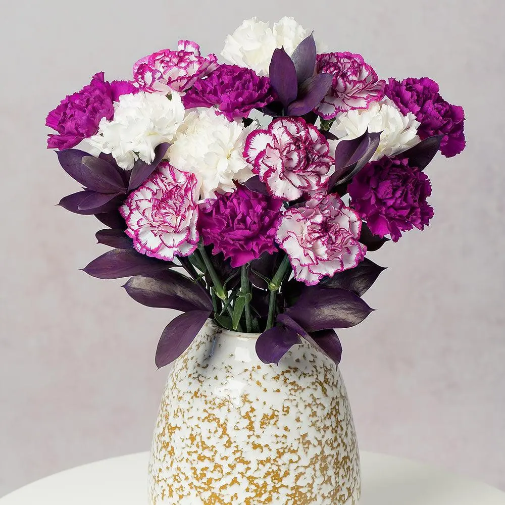 Damson Delight Large