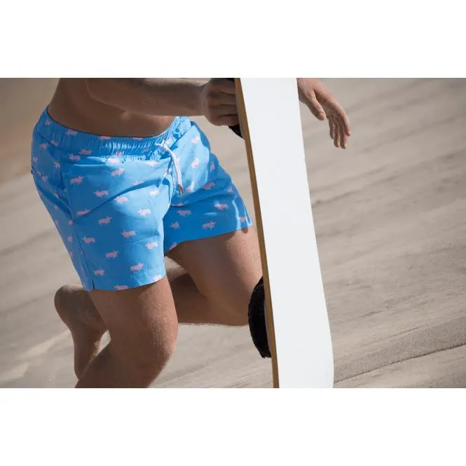 Swimming Pigs Swim Shorts, Ocean Blue