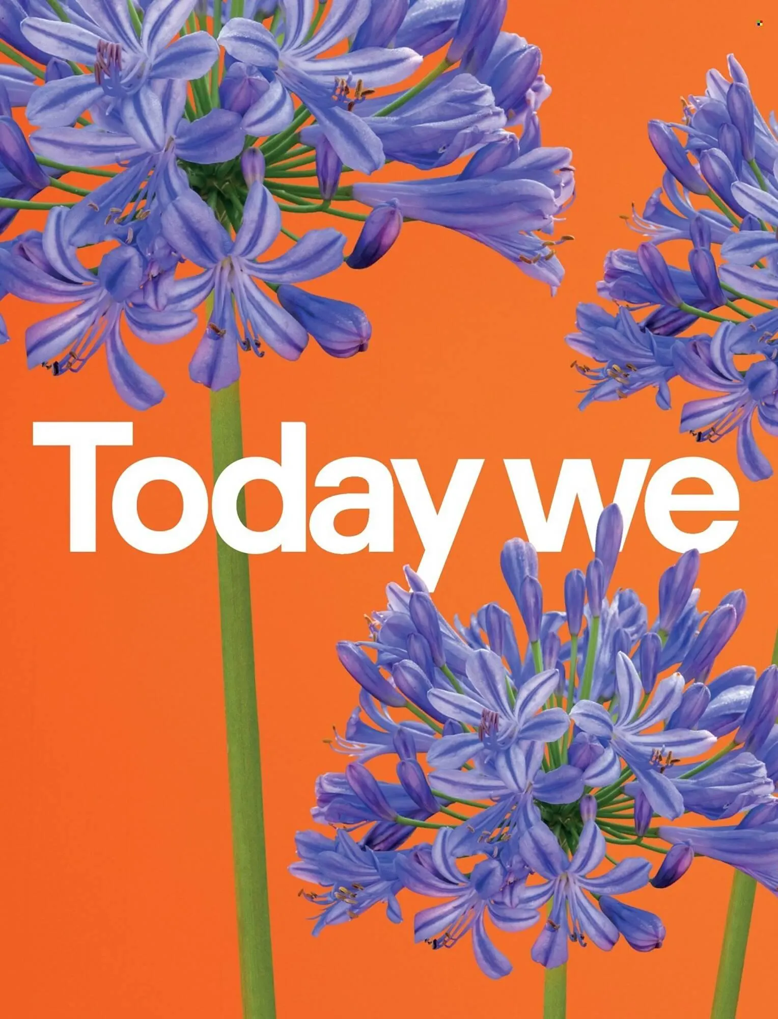 B&Q brochure from 23 March to 30 March 2026 - Catalogue Page 2