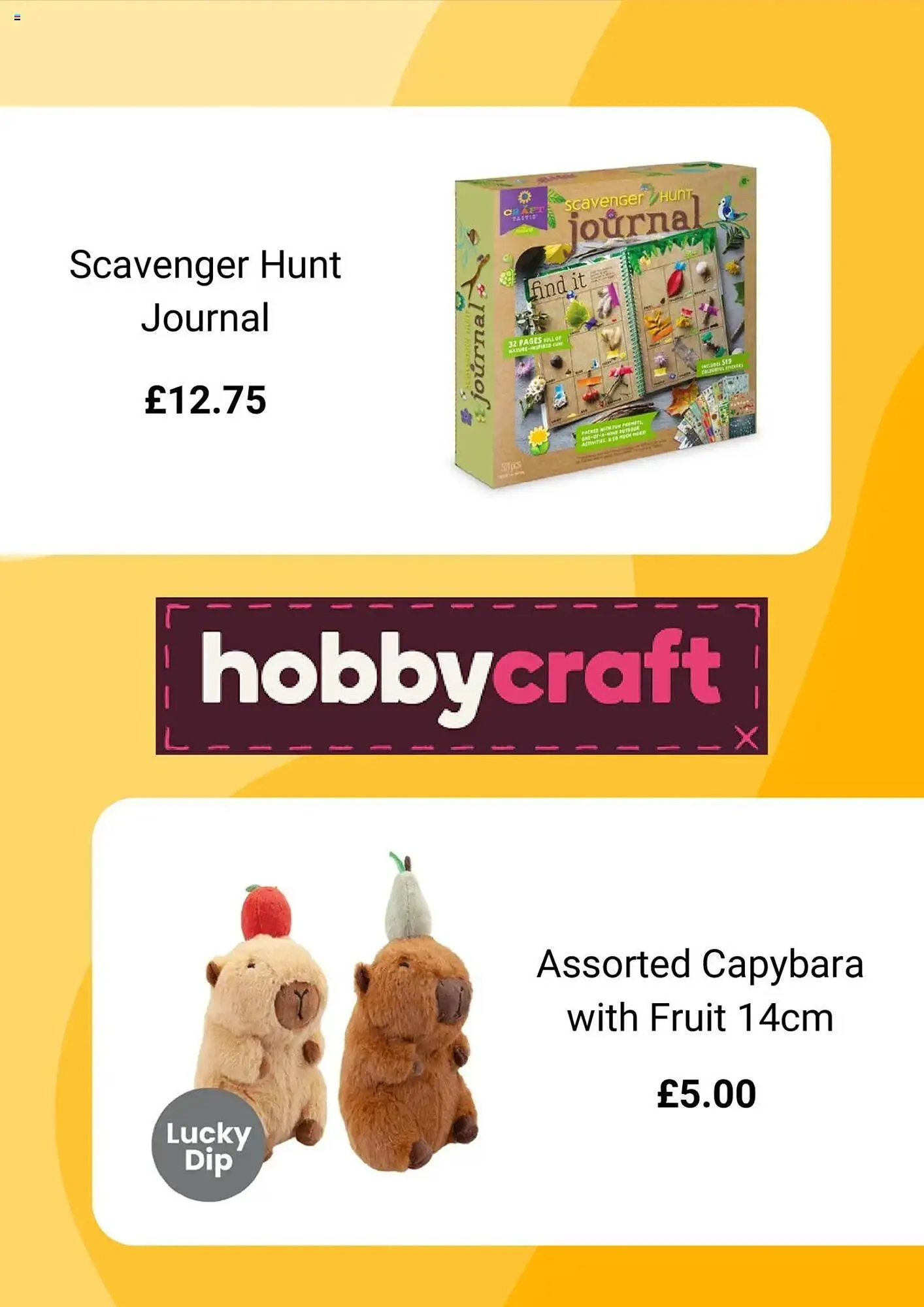 Hobbycraft leaflet from 4 May to 3 June 2025 - Catalogue Page 5
