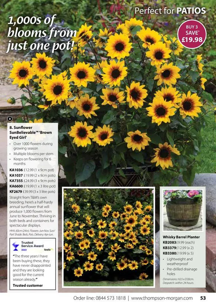 Spring Sale Catalogue from 2 May to 31 May 2024 - Catalogue Page 53