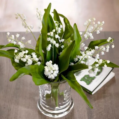 Lily of the Valley Stem