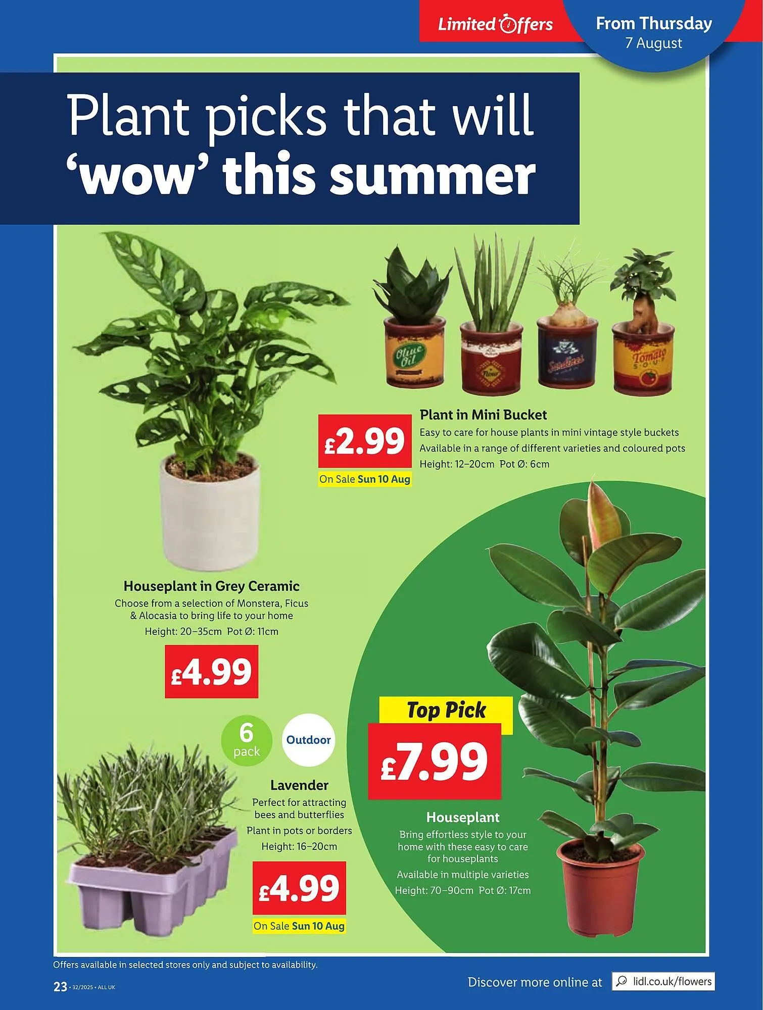 Lidl leaflet from 7 August to 13 August 2025 - Catalogue Page 25