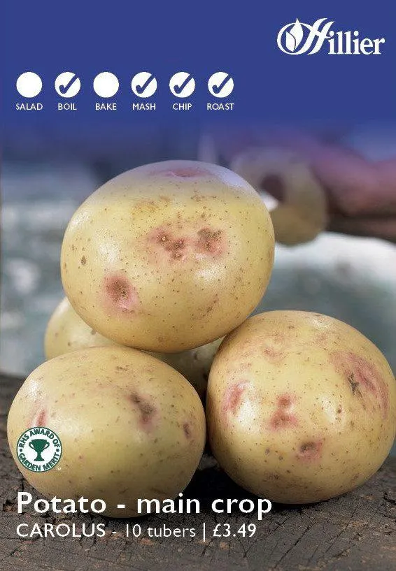 Carolus Seed Potatoes