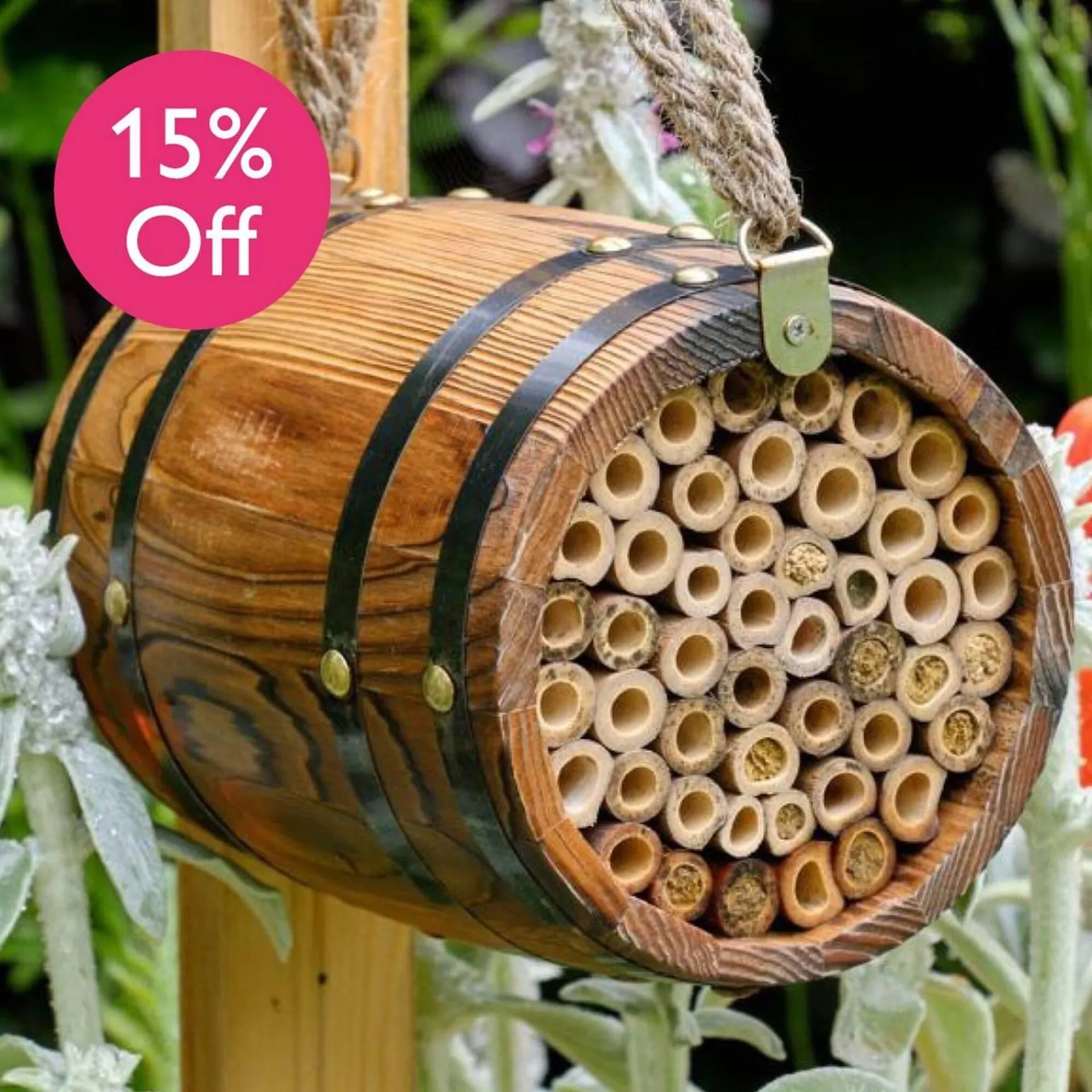 Squires Garden Centres leaflet from 12 January to 24 January 2026 - Catalogue Page 7