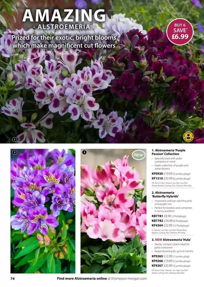 The Spring Catalogue from 20 March to 31 May 2025 - Catalogue Page 74