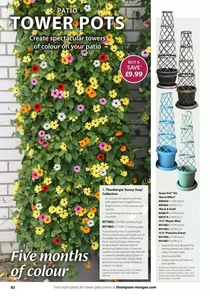 The Spring Catalogue from 20 March to 31 May 2025 - Catalogue Page 82