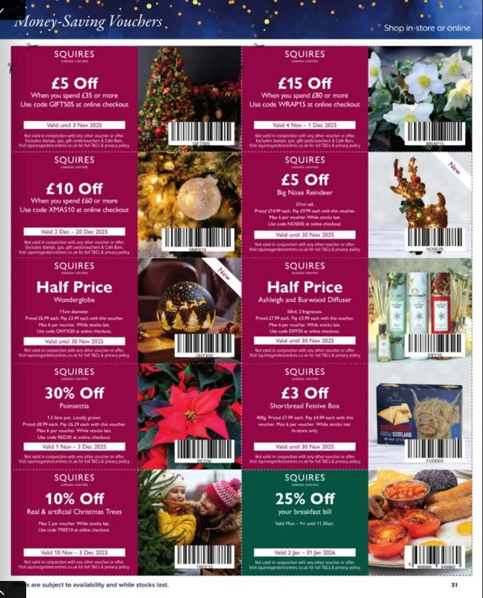 Squires Garden Centres leaflet from 24 October to 31 December 2025 - Catalogue Page 31