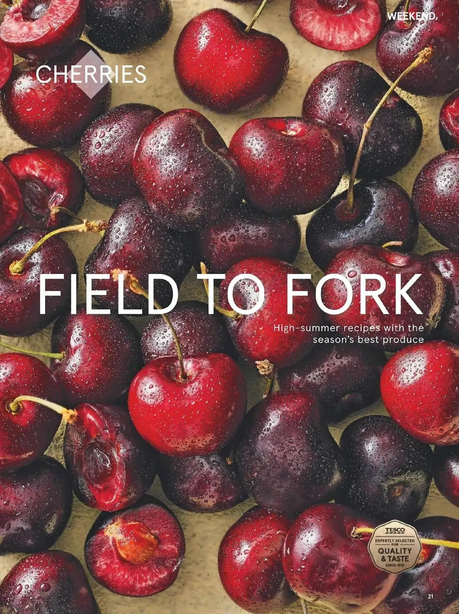 Tesco leaflet from 10 July to 1 September 2025 - Catalogue Page 21