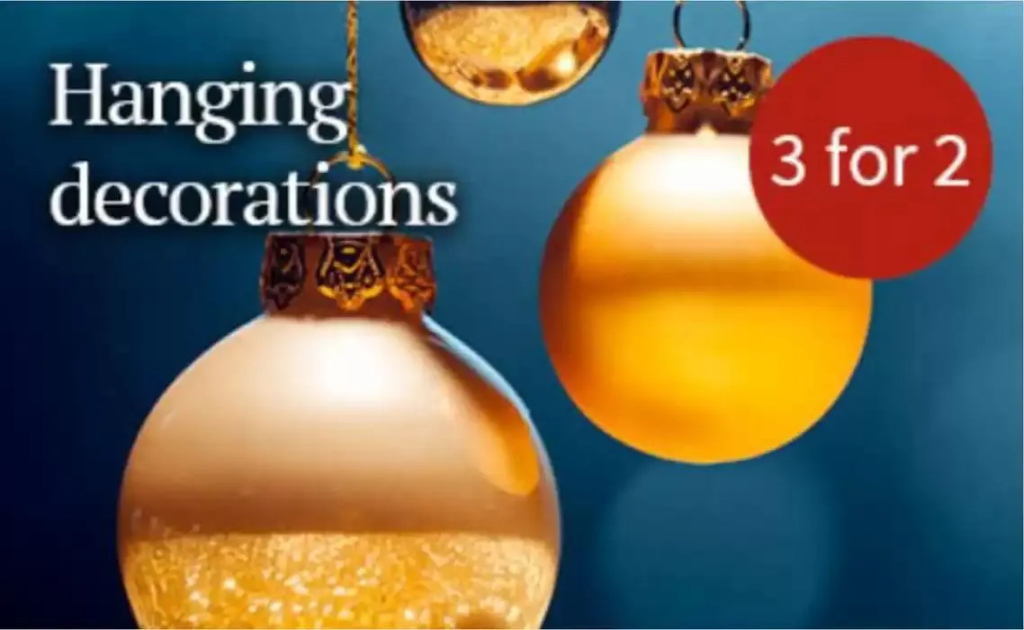 Offers from 19 November to 25 December 2024 - Catalogue Page 3