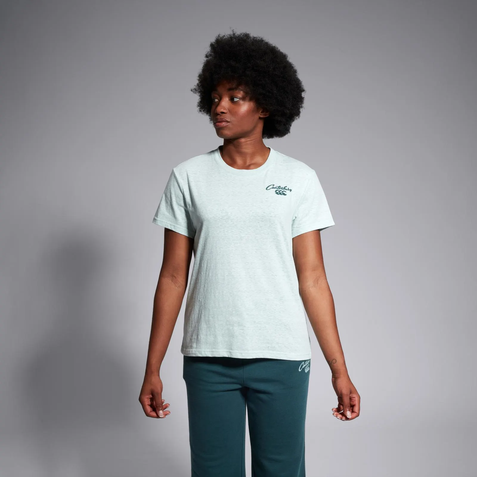 WOMENS SCENE-SET SS T-SHIRT BLUE