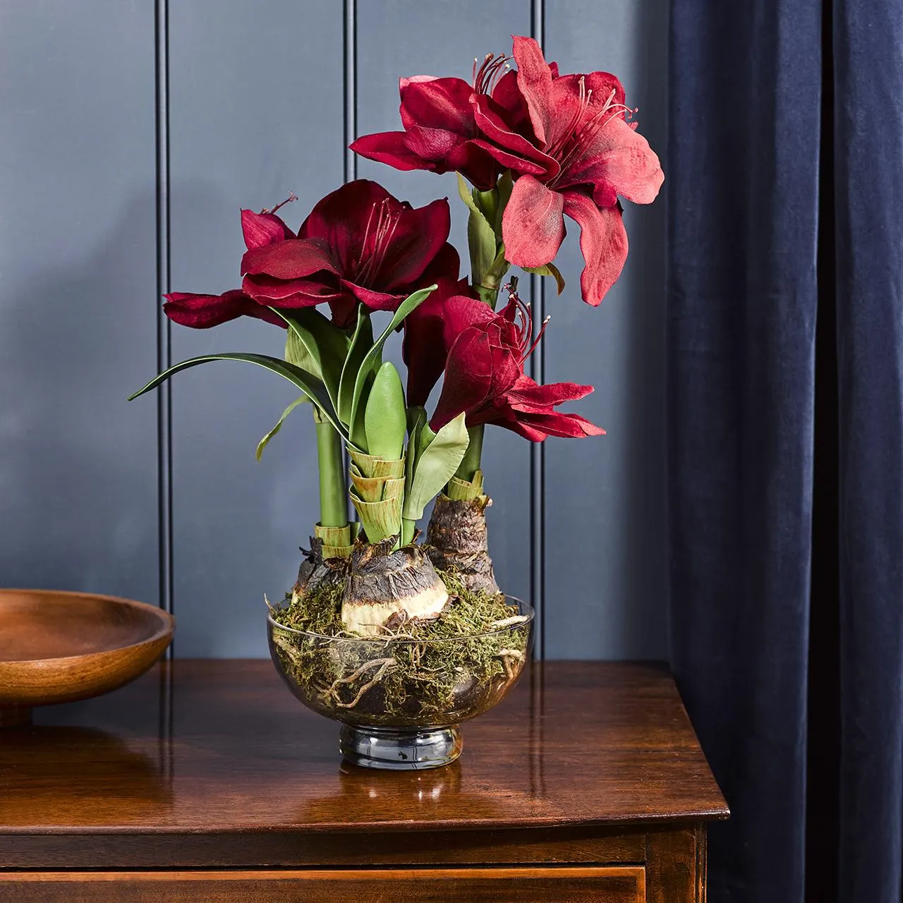 Red Triple Amaryllis in 1colour