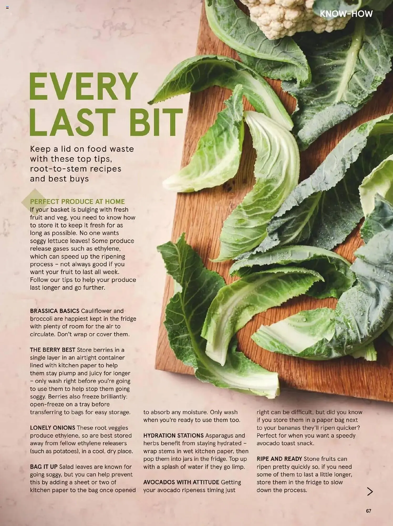 Tesco leaflet from 1 October to 1 November 2025 - Catalogue Page 67
