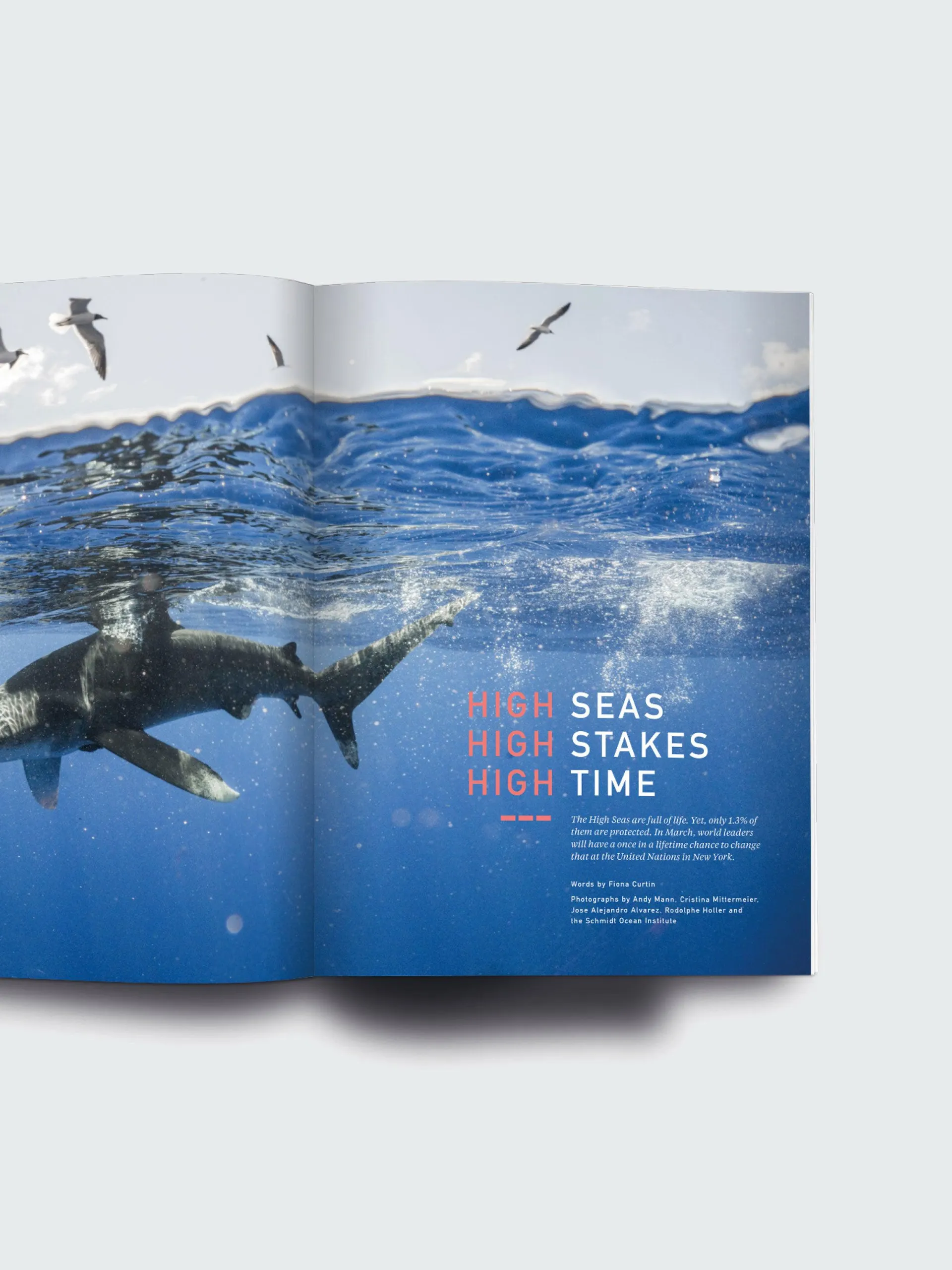 Oceanographic, Issue 23