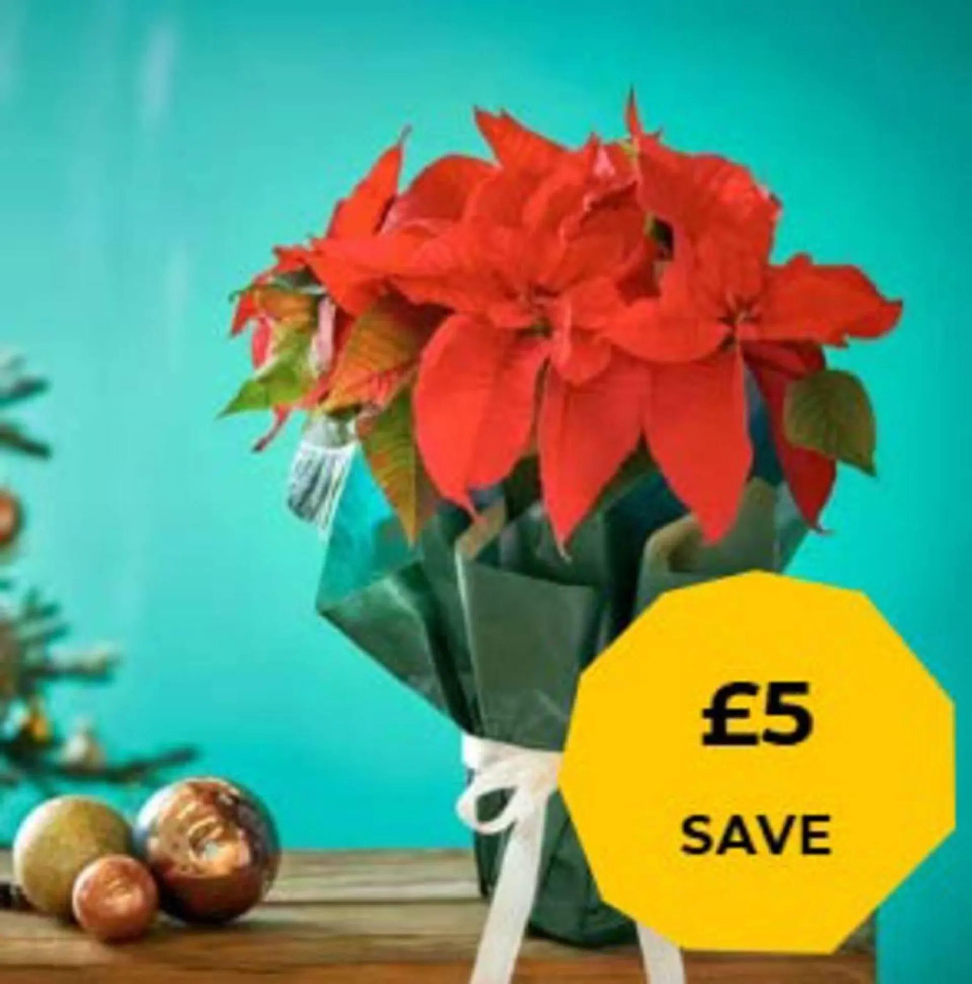 Flying Flowers leaflet from 27 November to 25 December 2025 - Catalogue Page 2