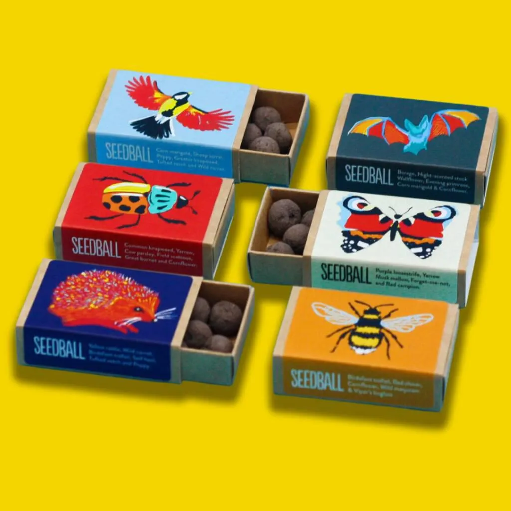 Wildflowers For Garden Wildlife Set Of Six