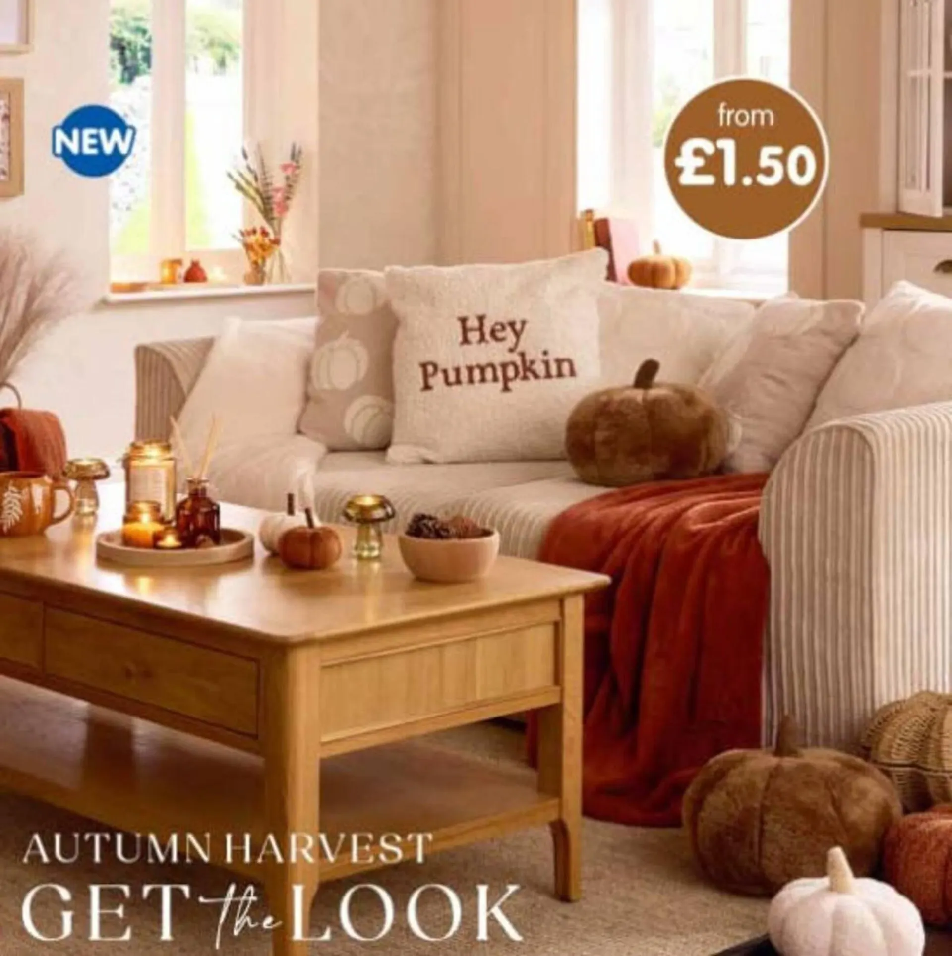 B&M Stores leaflet - 1