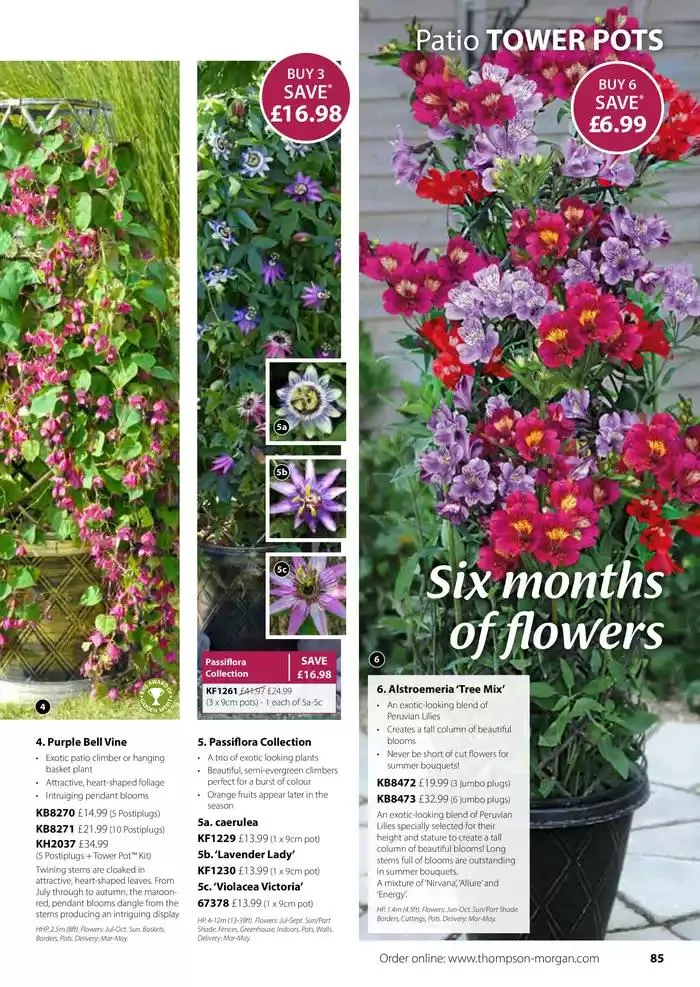 The Spring Catalogue from 20 March to 31 May 2025 - Catalogue Page 85
