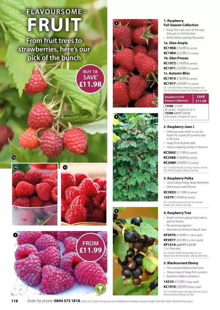 The Spring Catalogue from 20 March to 31 May 2025 - Catalogue Page 118