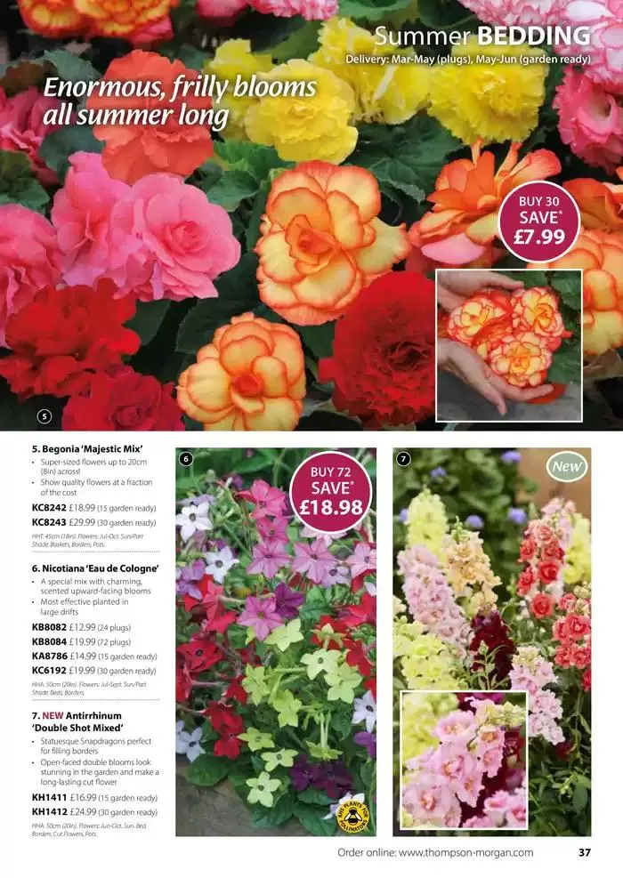 The Spring Catalogue from 20 March to 31 May 2025 - Catalogue Page 37