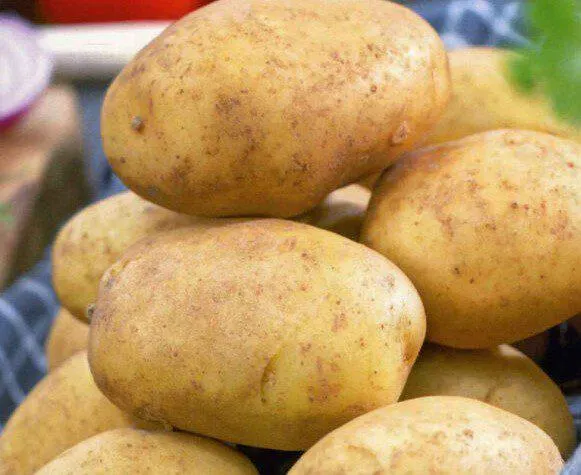 Pentland Javelin Seed Potatoes 2kg