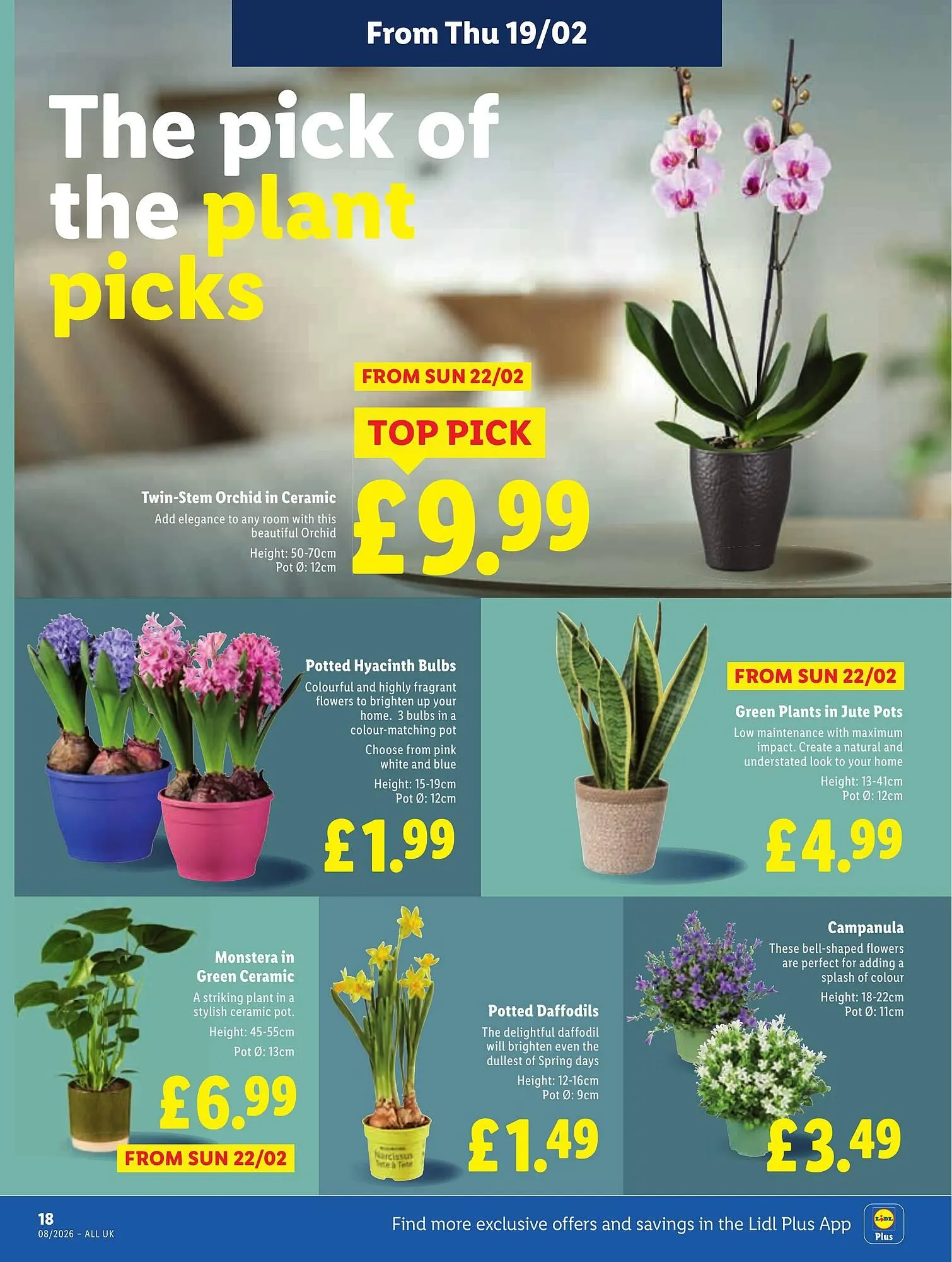 Lidl leaflet from 19 February to 25 February 2026 - Catalogue Page 18