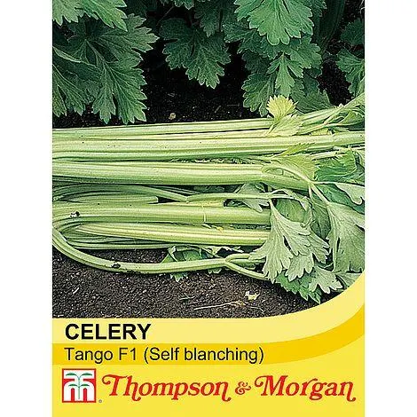 Celery 'Tango' F1 Hybrid (Self blanching) - Seeds