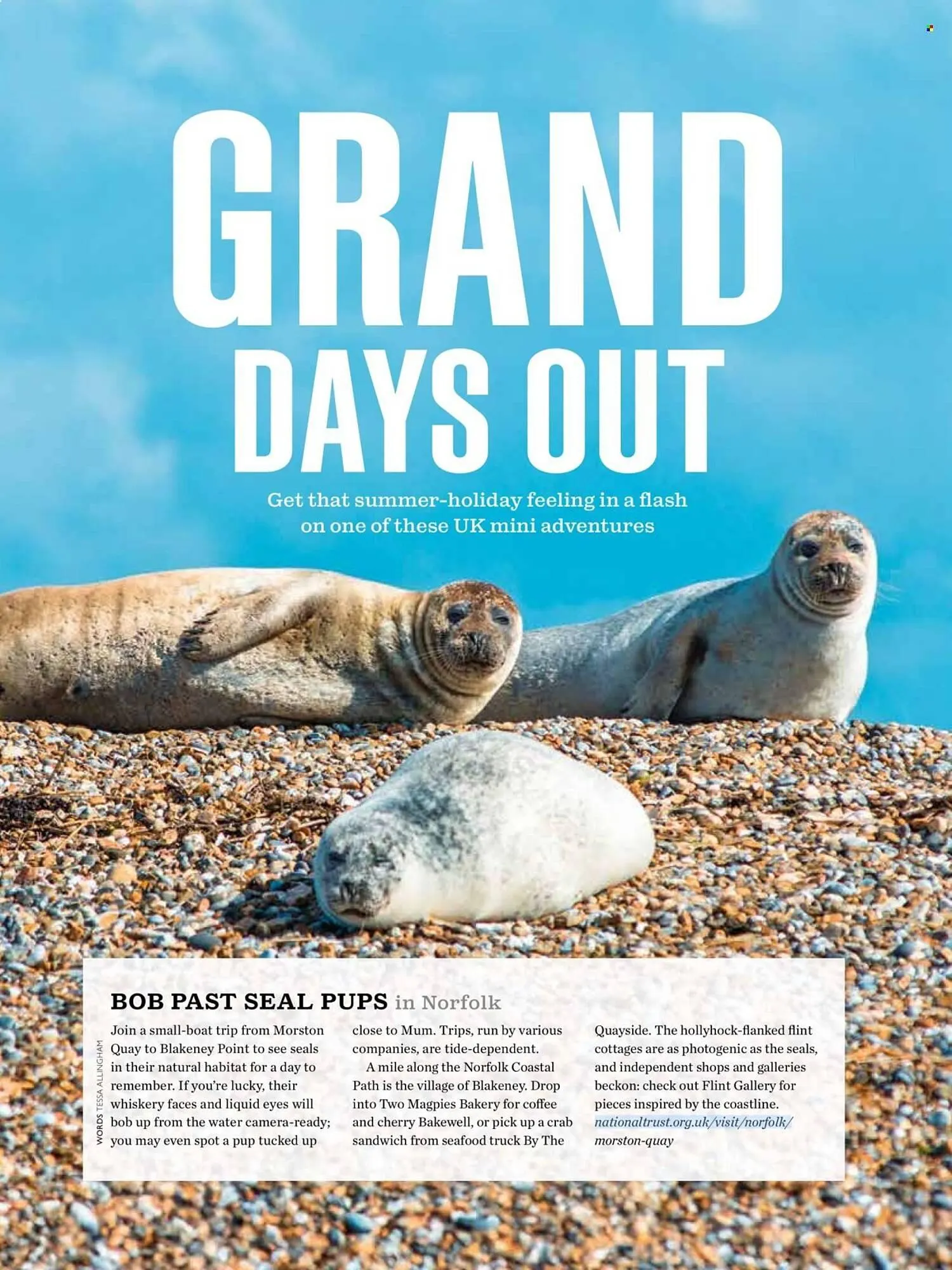 Waitrose leaflet from 1 July to 31 July 2025 - Catalogue Page 74